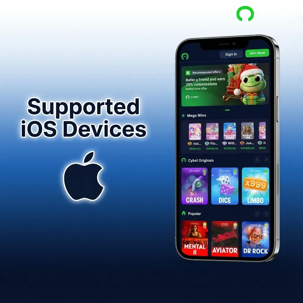 List of iOS devices including iPhone models 7-14, iPad Air, iPad Mini, and iPod Touch supporting Cybet PWA