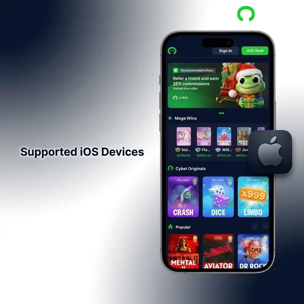 List of Apple devices supporting Cybet PWA including iPhone 15 to 11, iPad Air, iPad Pro, and iPod Touch models
