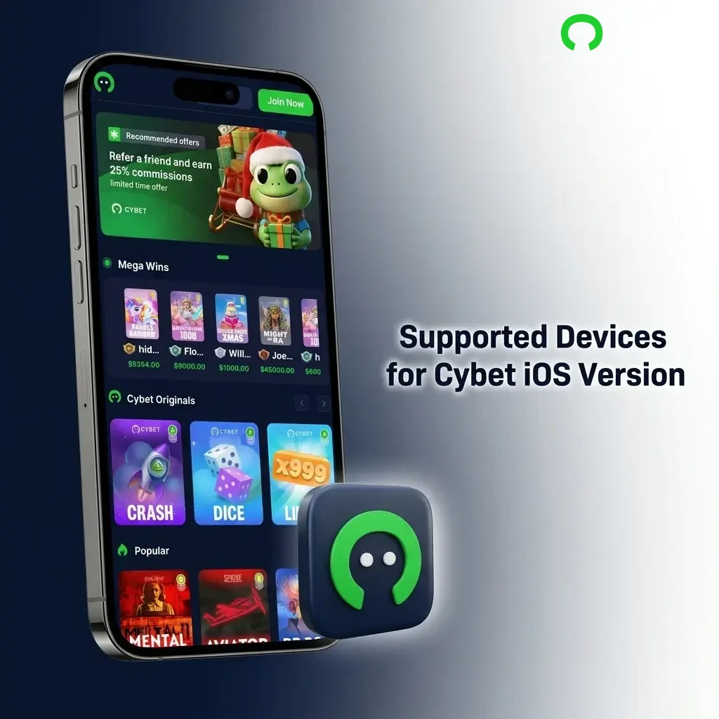 Apple devices compatible with Cybet iOS PWA via Safari, including iPhone 11 to 15 Pro Max and iPad models on iOS 13+